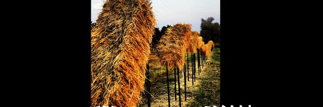 Flying Straw Bales