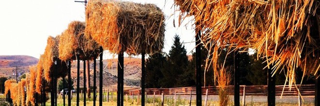Flying Straw Bales Kickstarter Flying Straw Bales Kickstarter